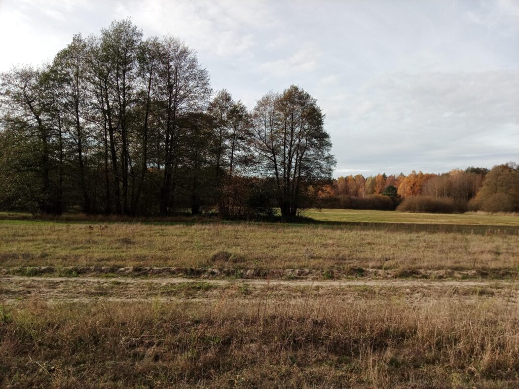 Idealna działka pod Twój wymarzony dom - zdjęcie 1