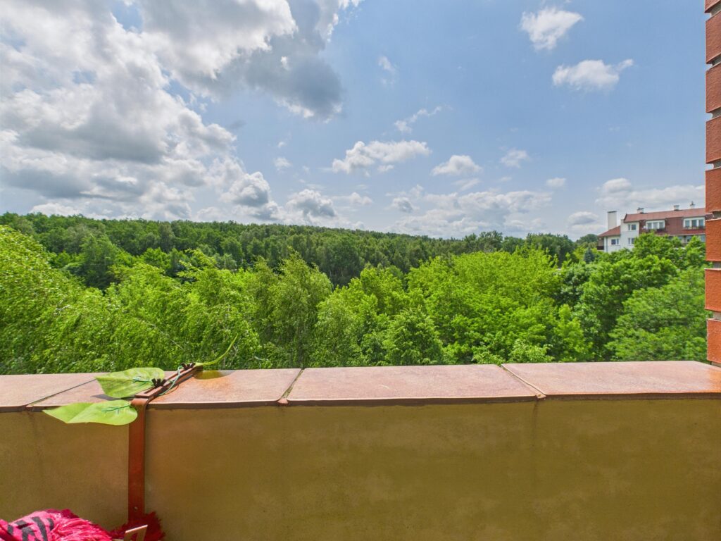 Dwupoziomowe mieszkanie 103,5 m² – ul. Opalowa - zdjęcie 10