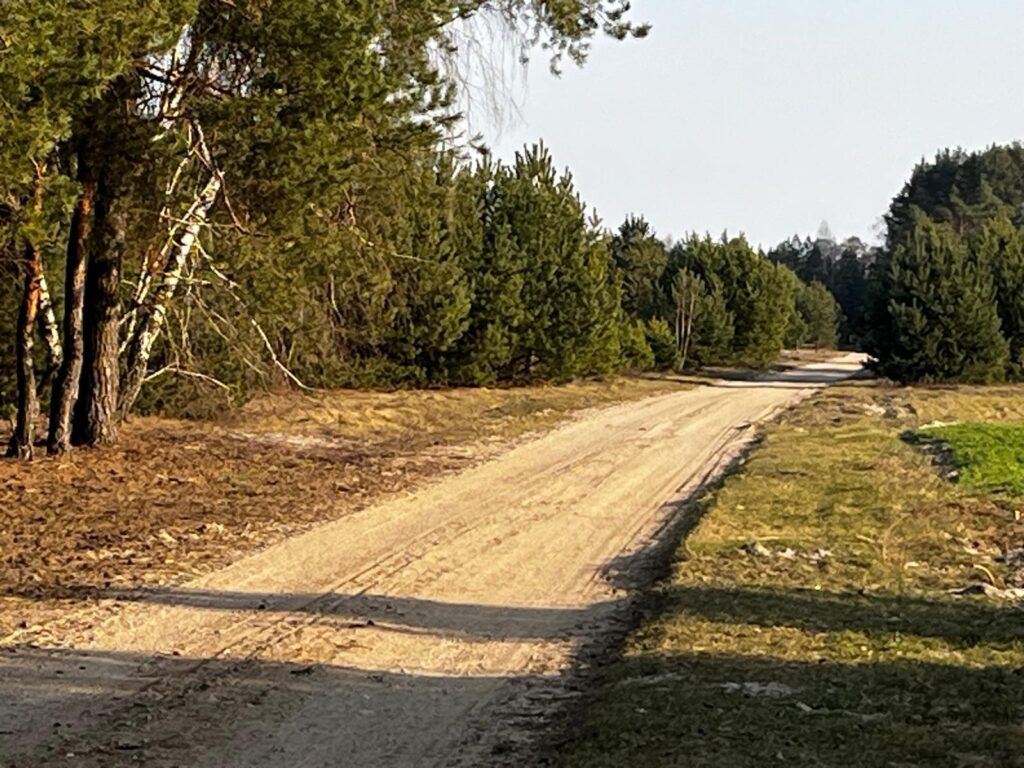Działka Rekreacyjna z dwupiętrowym domkiem - zdjęcie 1